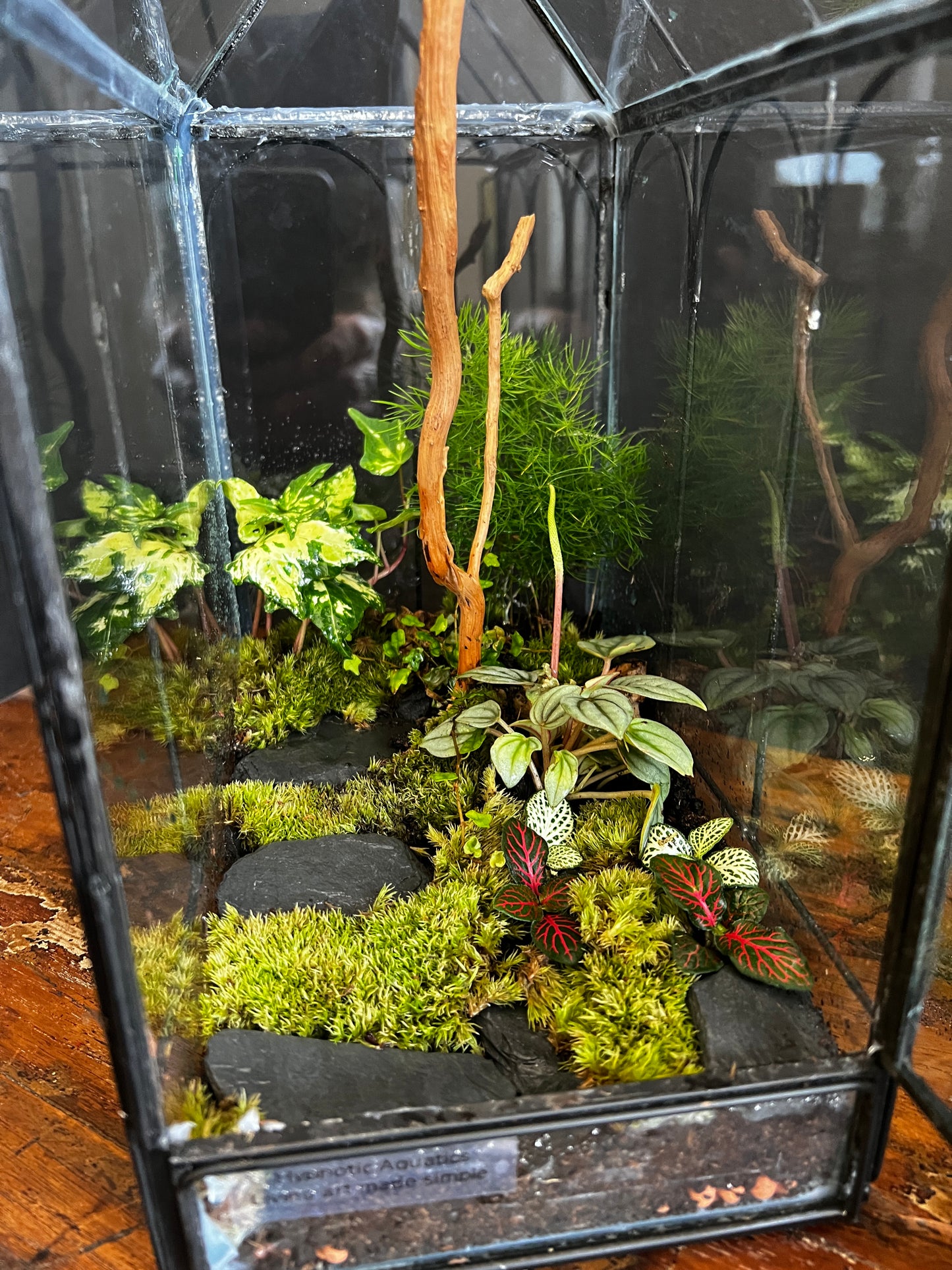 Terrarium 867