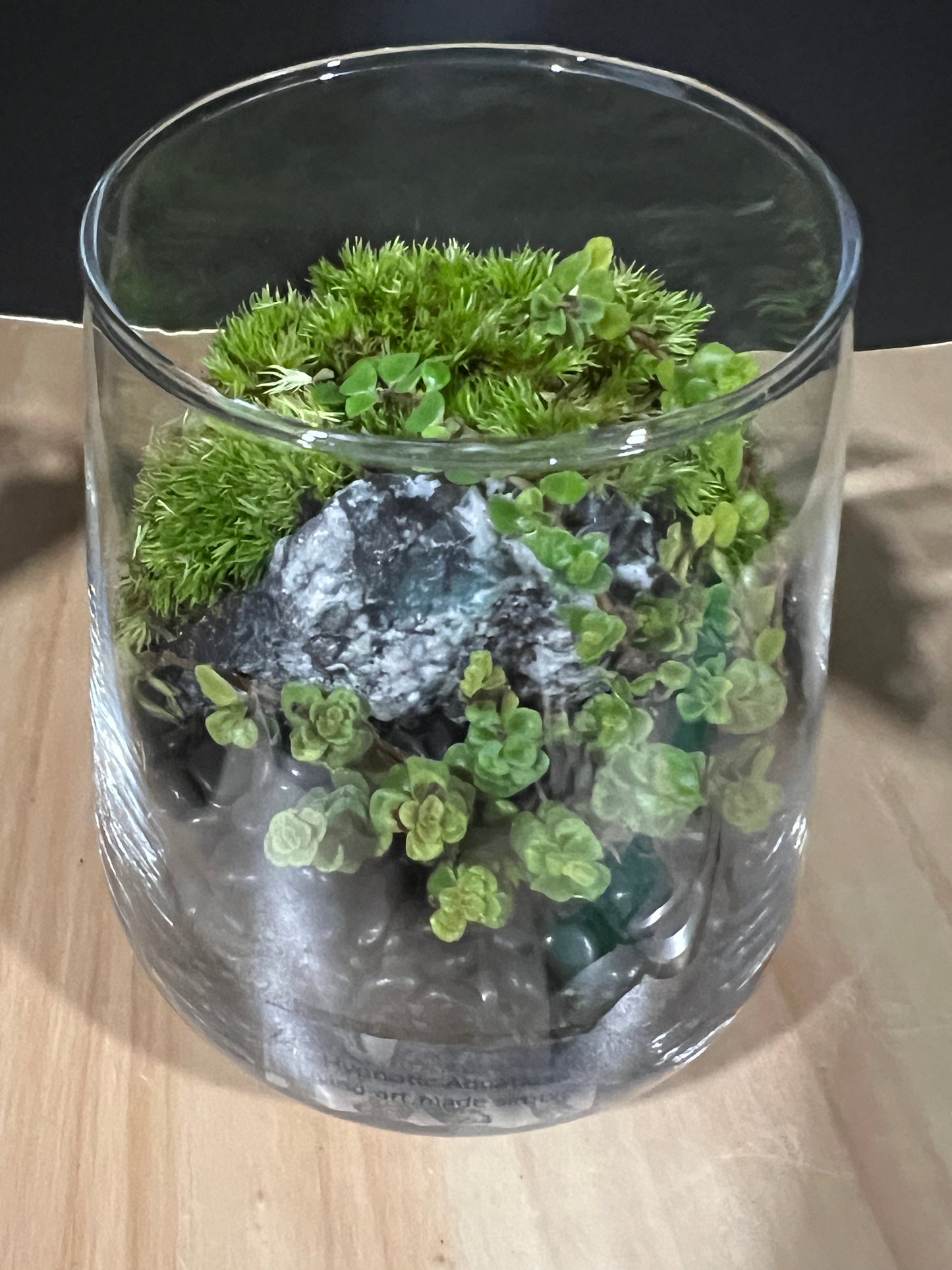 Terrarium 802