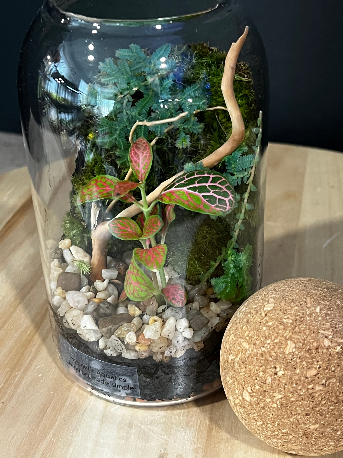 Terrarium 977