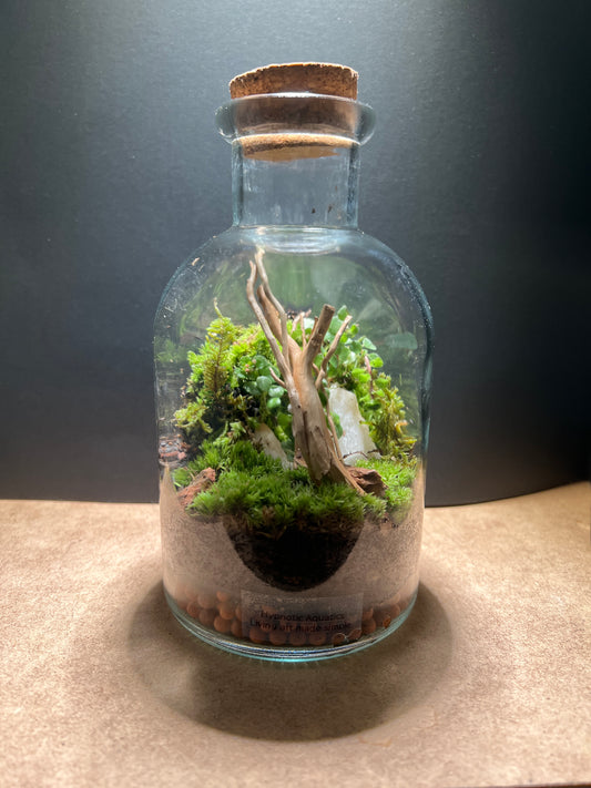 Terrarium 422