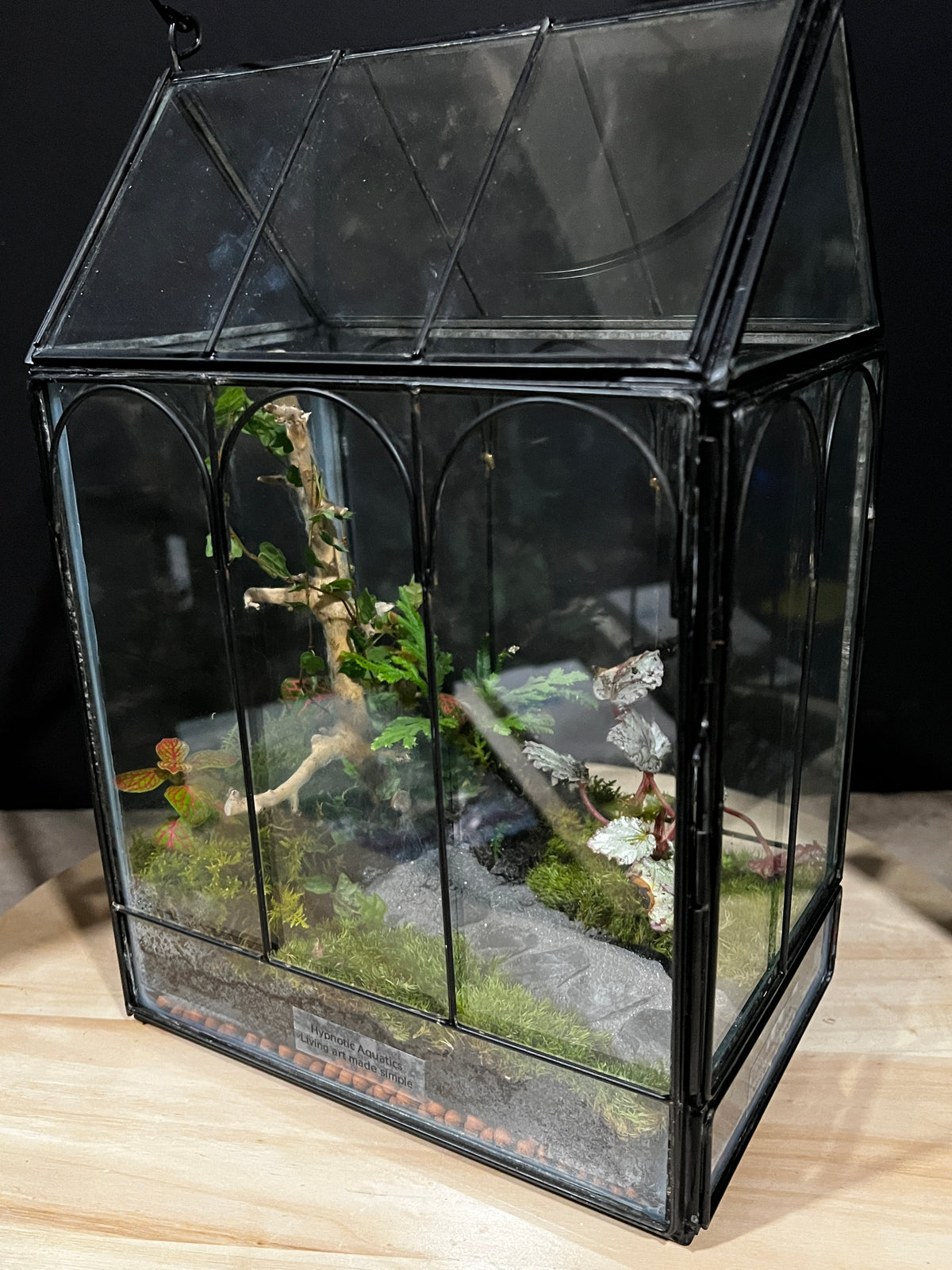 Terrarium 964