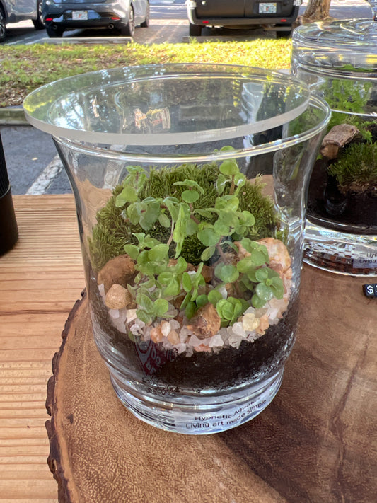 Terrarium 945