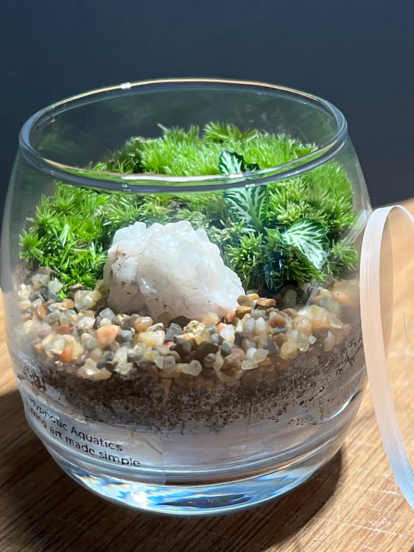 Terrarium 530