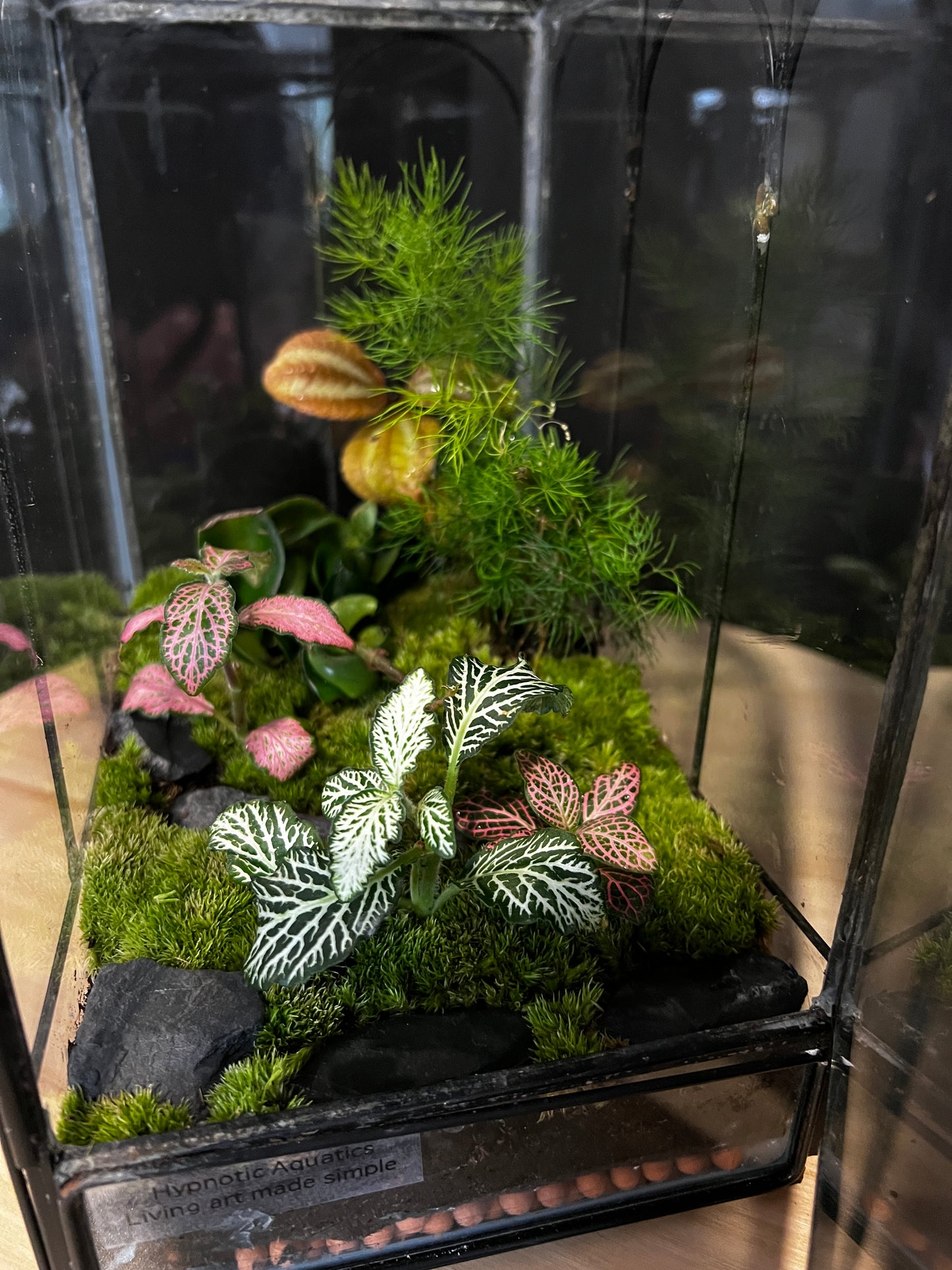 Terrarium 873