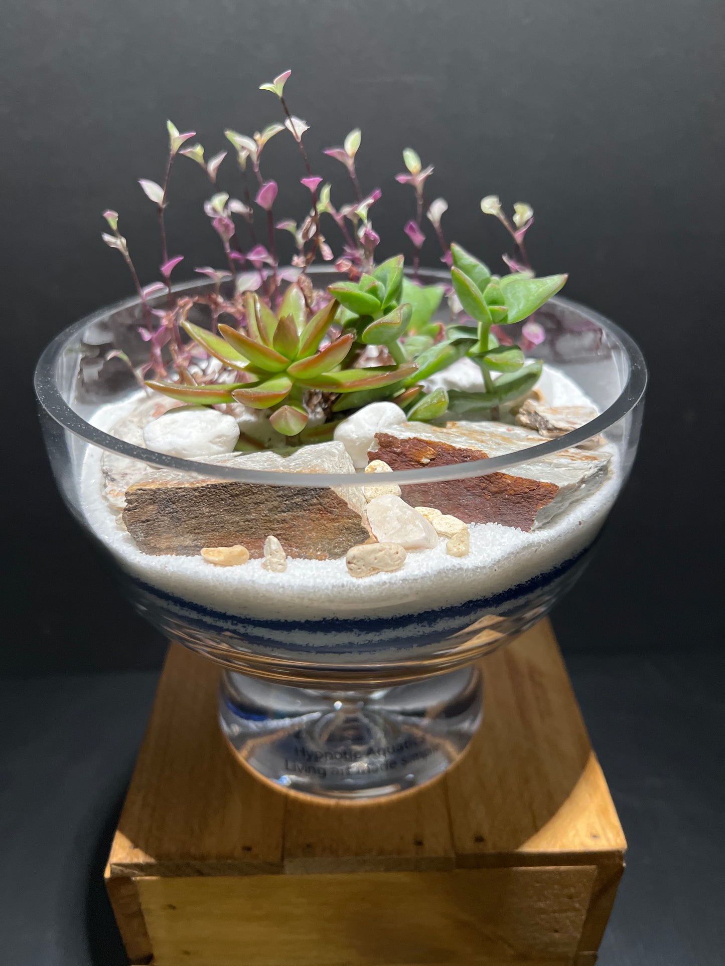 Terrarium #68
