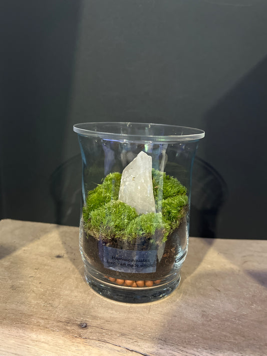 Terrarium 472