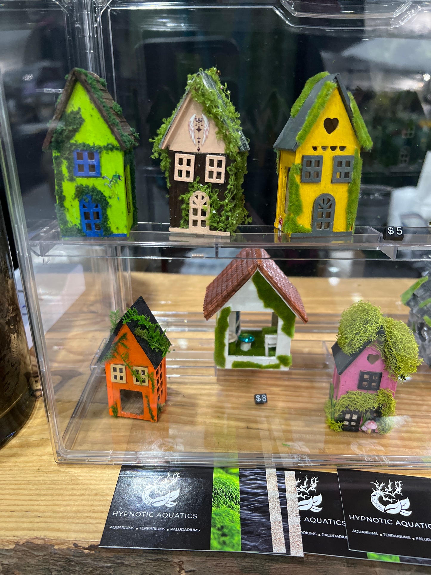 Spider Hides Small
