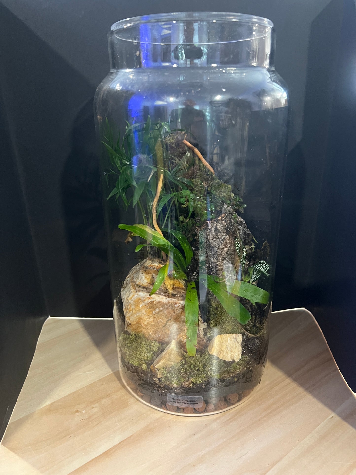 Terrarium 826