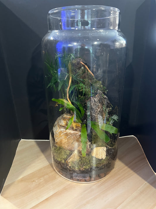Terrarium 826