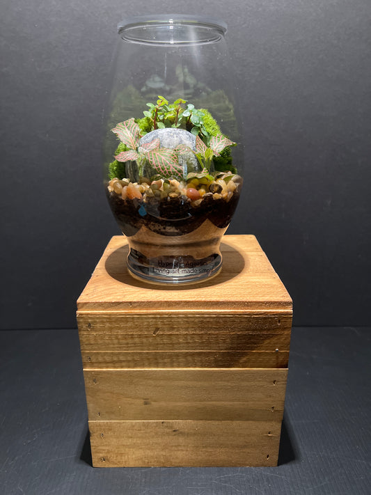 Terrarium #88