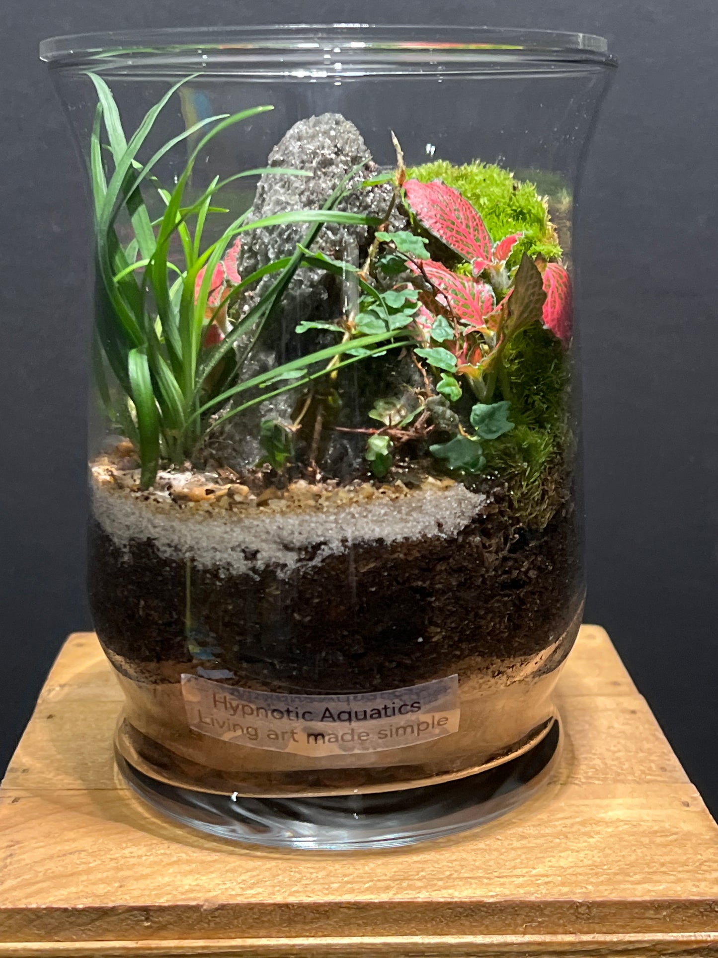 Terrarium #129