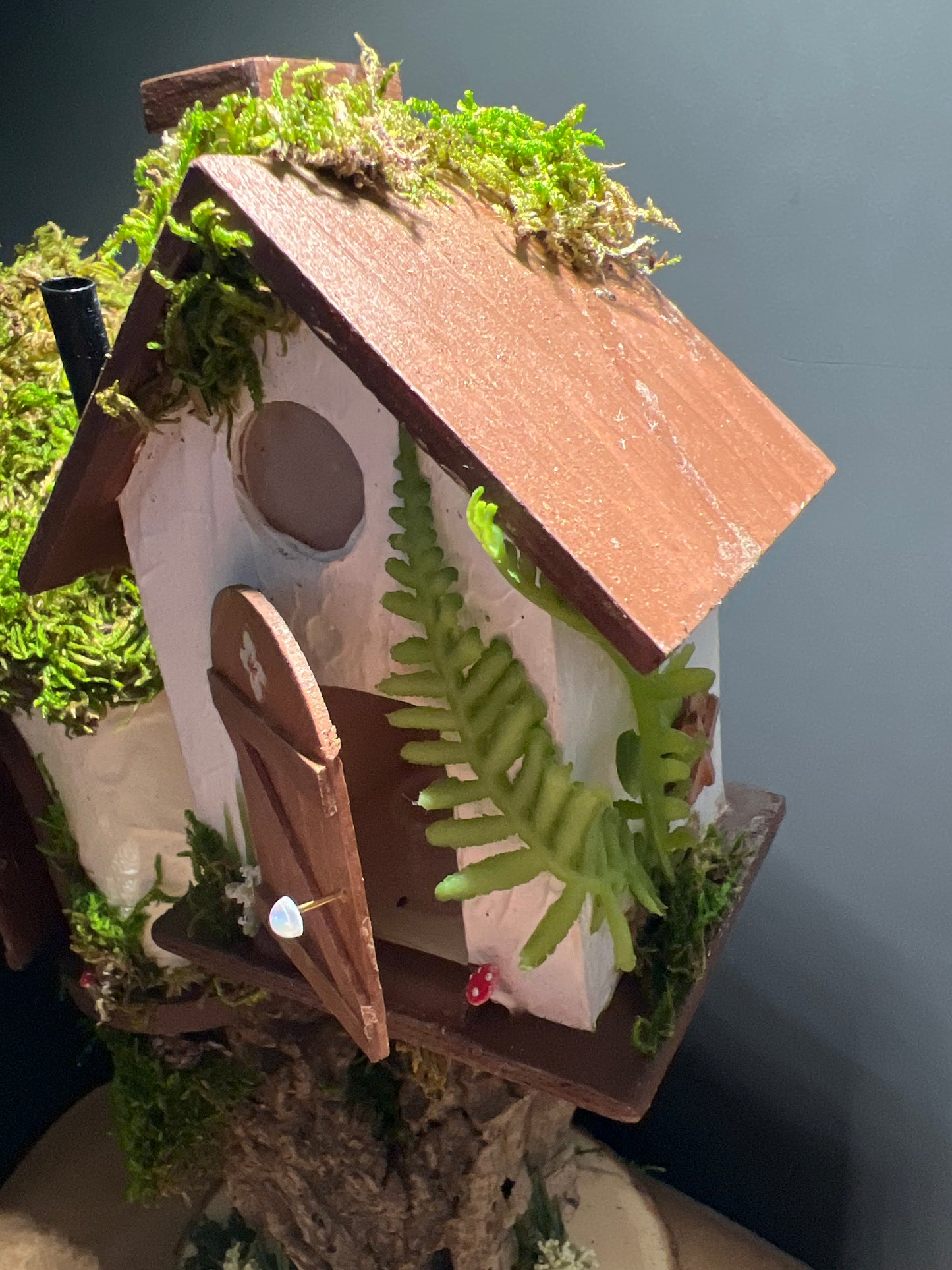 Fairy House (Large Condo)