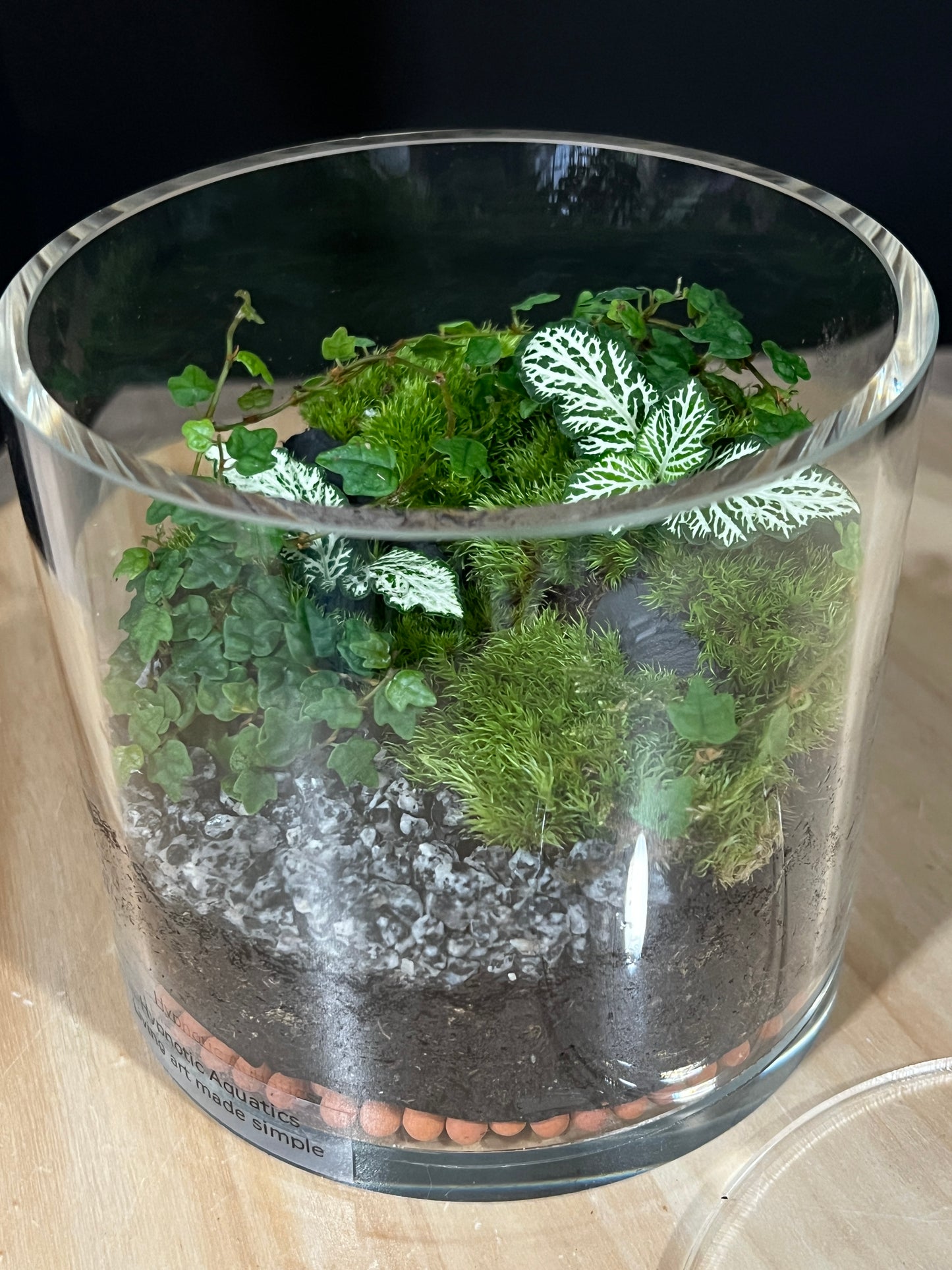 Terrarium 908