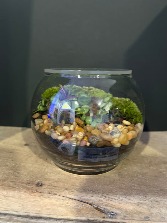 Terrarium 471