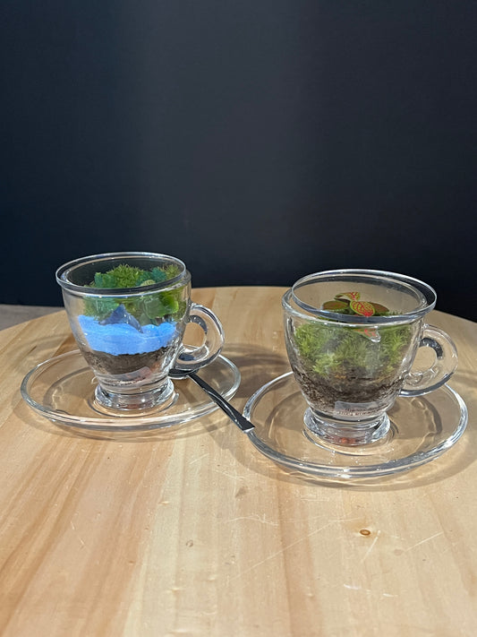 Terrarium 985 (seti)