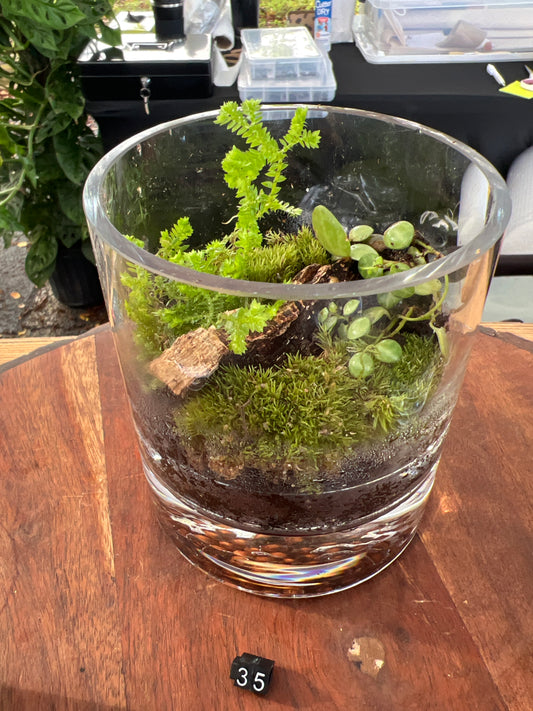 Terrarium 937
