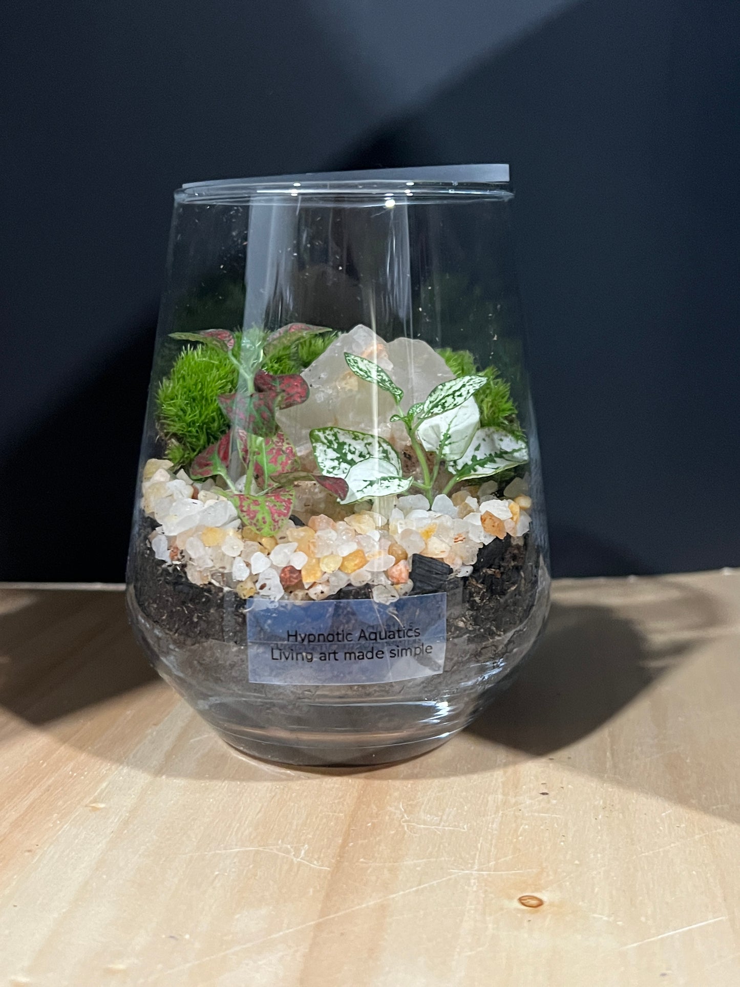 Terrarium 800