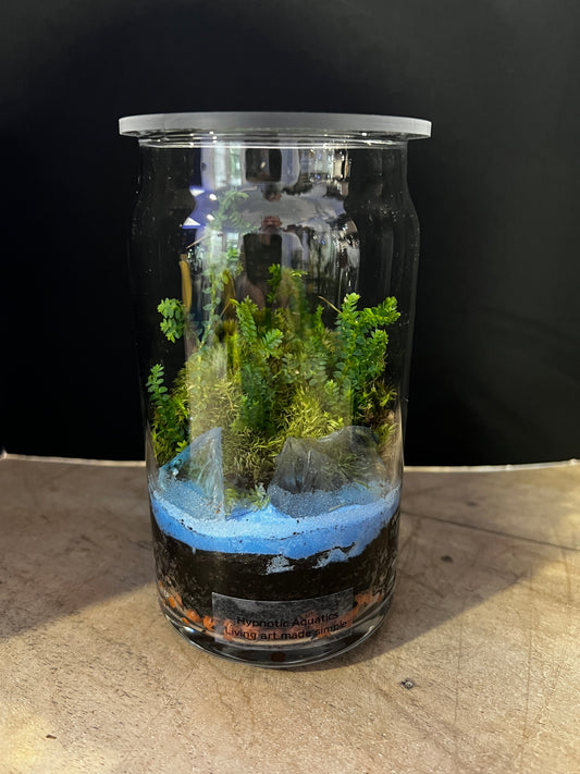Terrarium 888