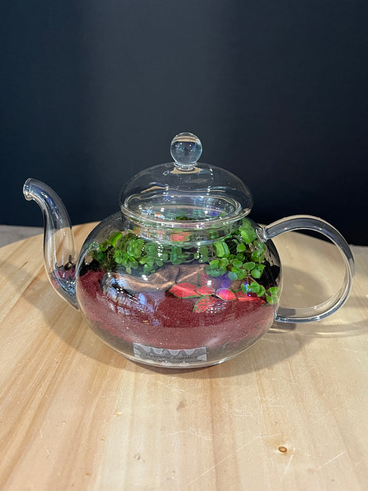 Terrarium 979
