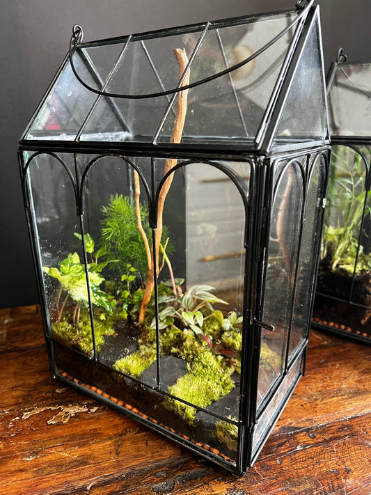 Terrarium 867