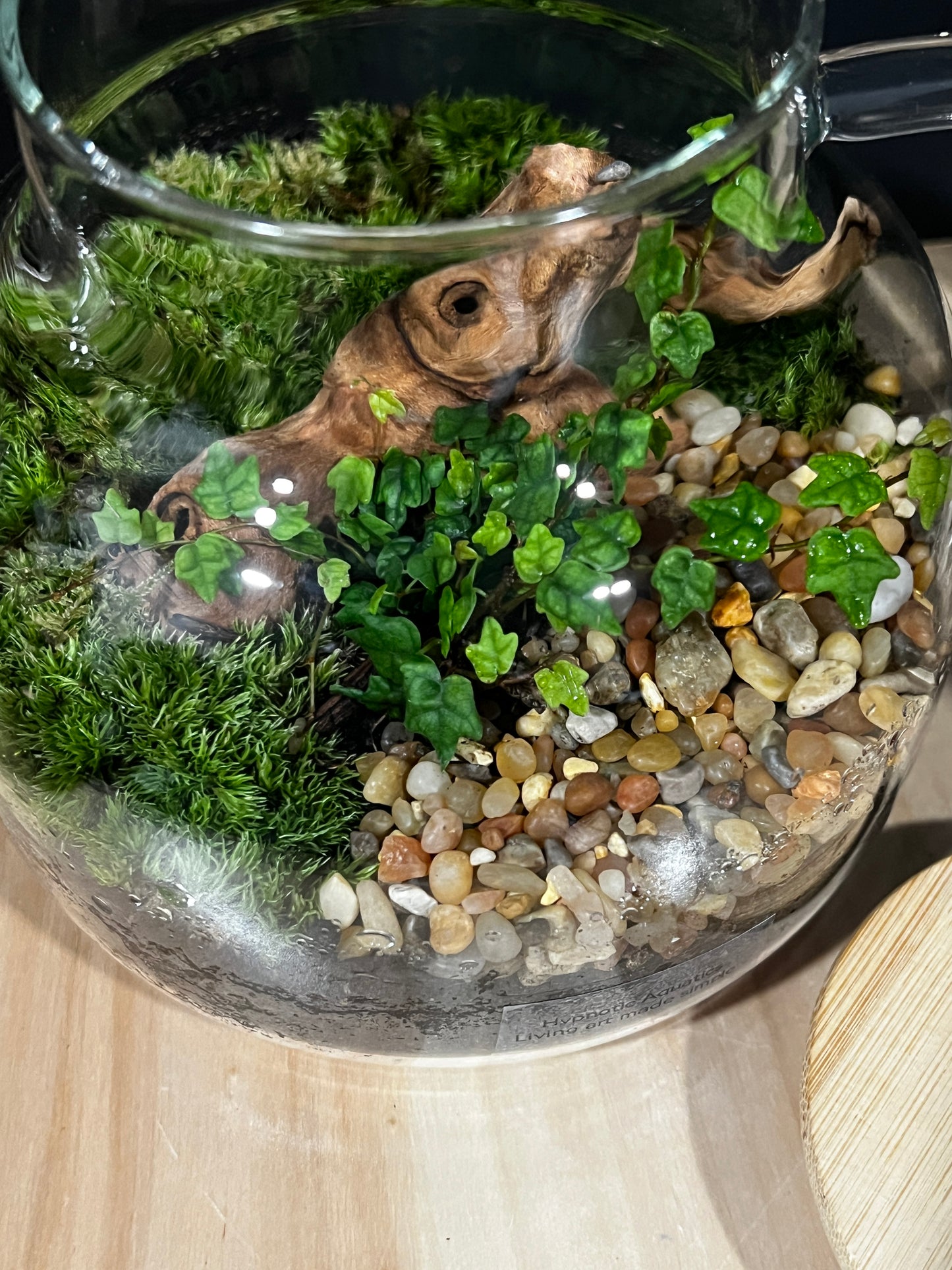 Terrarium 803
