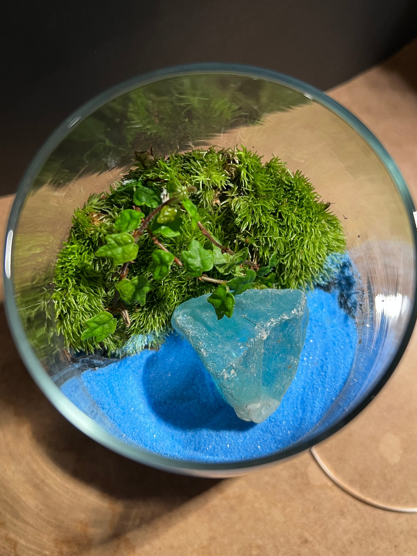 Terrarium 894