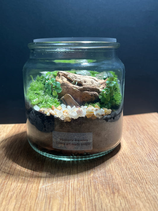 Terrarium 508