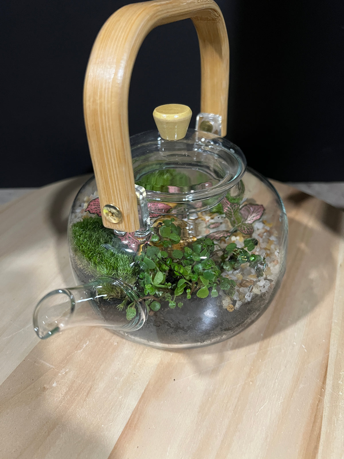 Terrarium 966