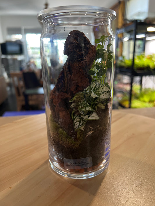 Terrarium 836