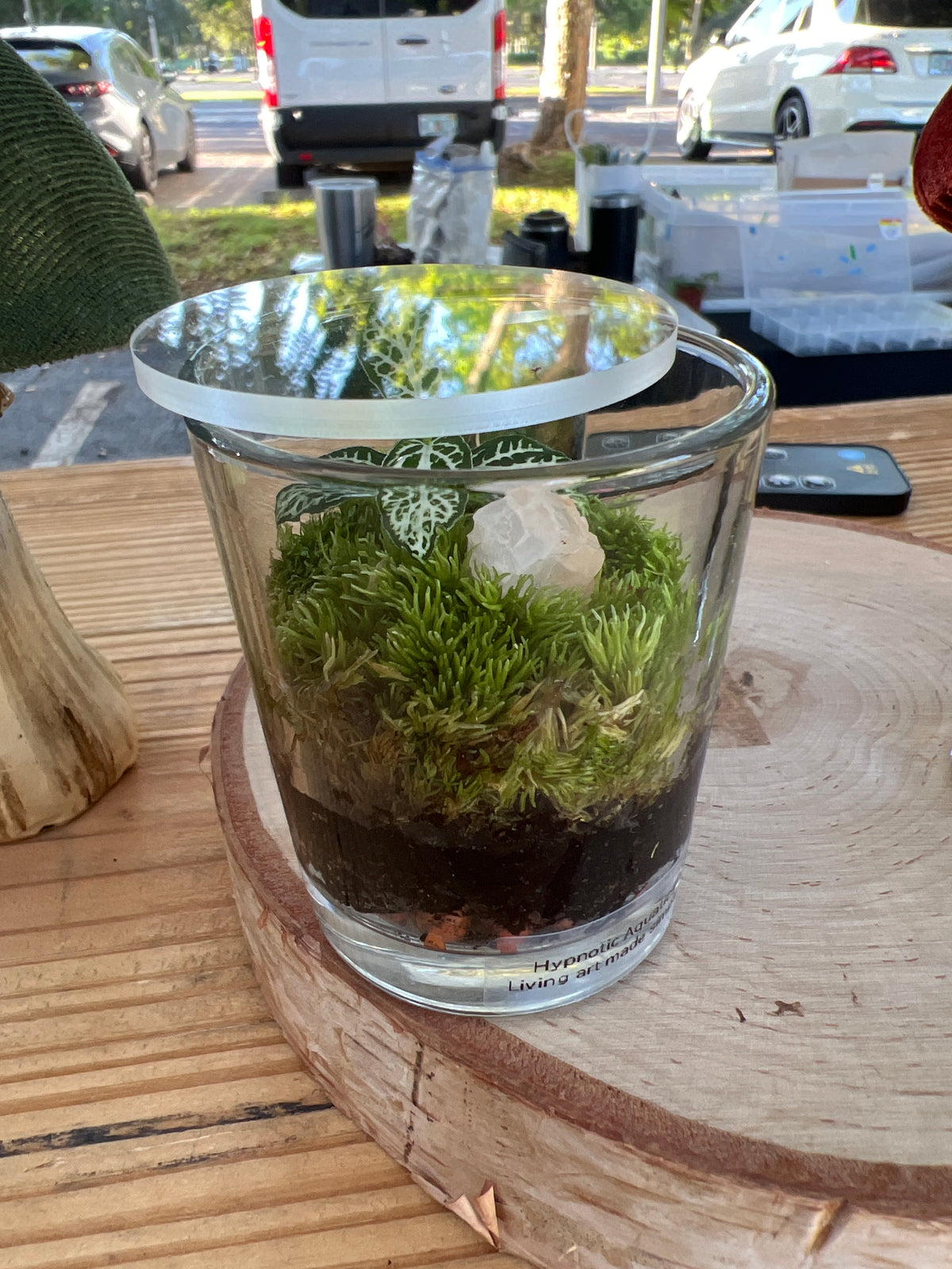 Terrarium 941