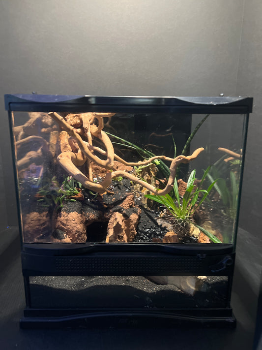 Terrarium 362 Habitat