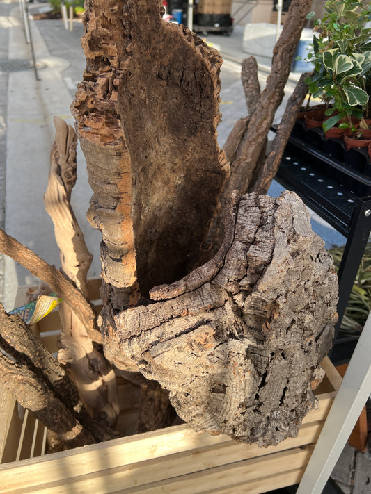 Large Cork Bark