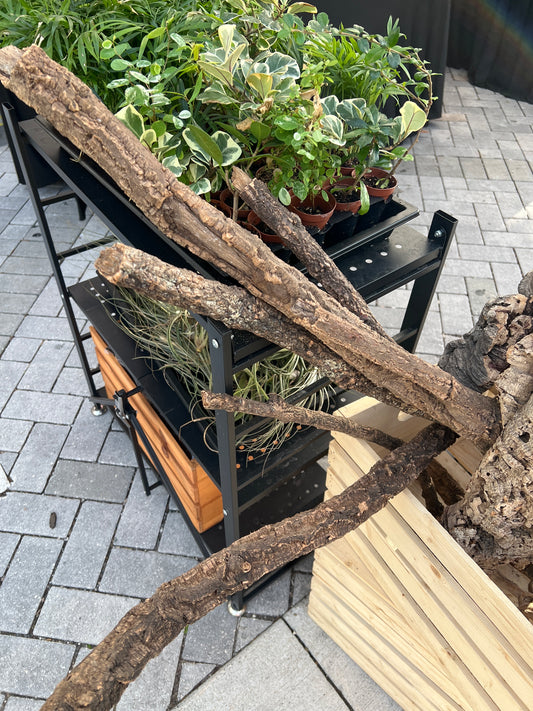 Cork Branches
