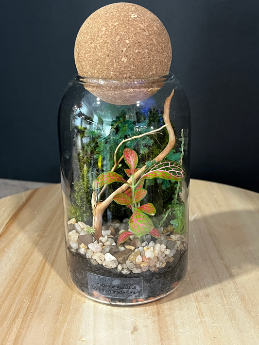 Terrarium 977