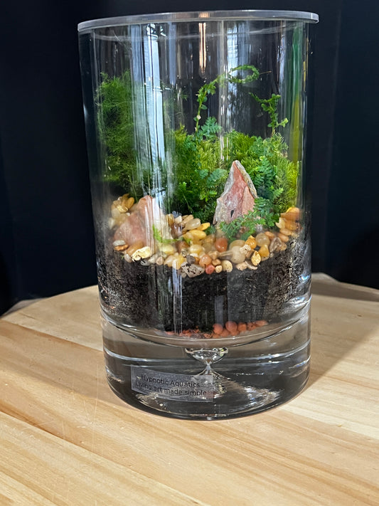 Terrarium 909