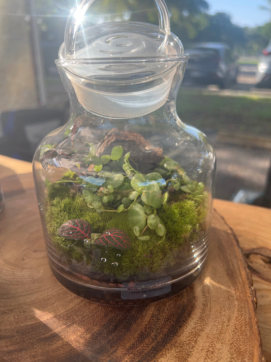 Terrarium 928