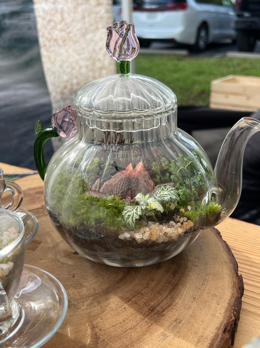 Terrarium 859