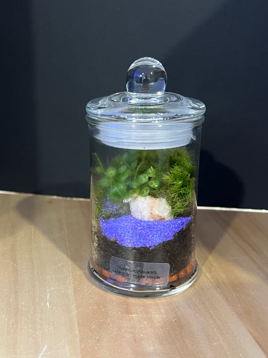 Terrarium 818