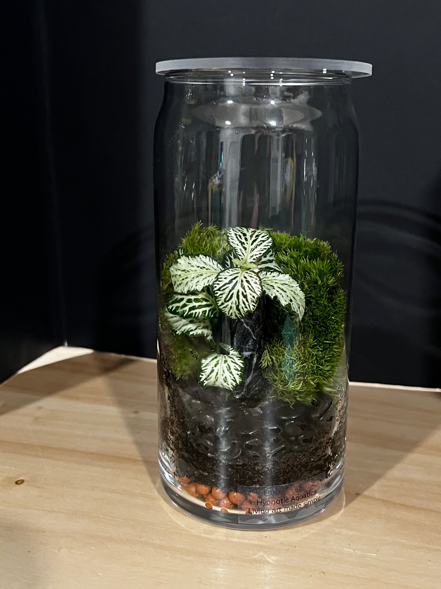 Terrarium 808