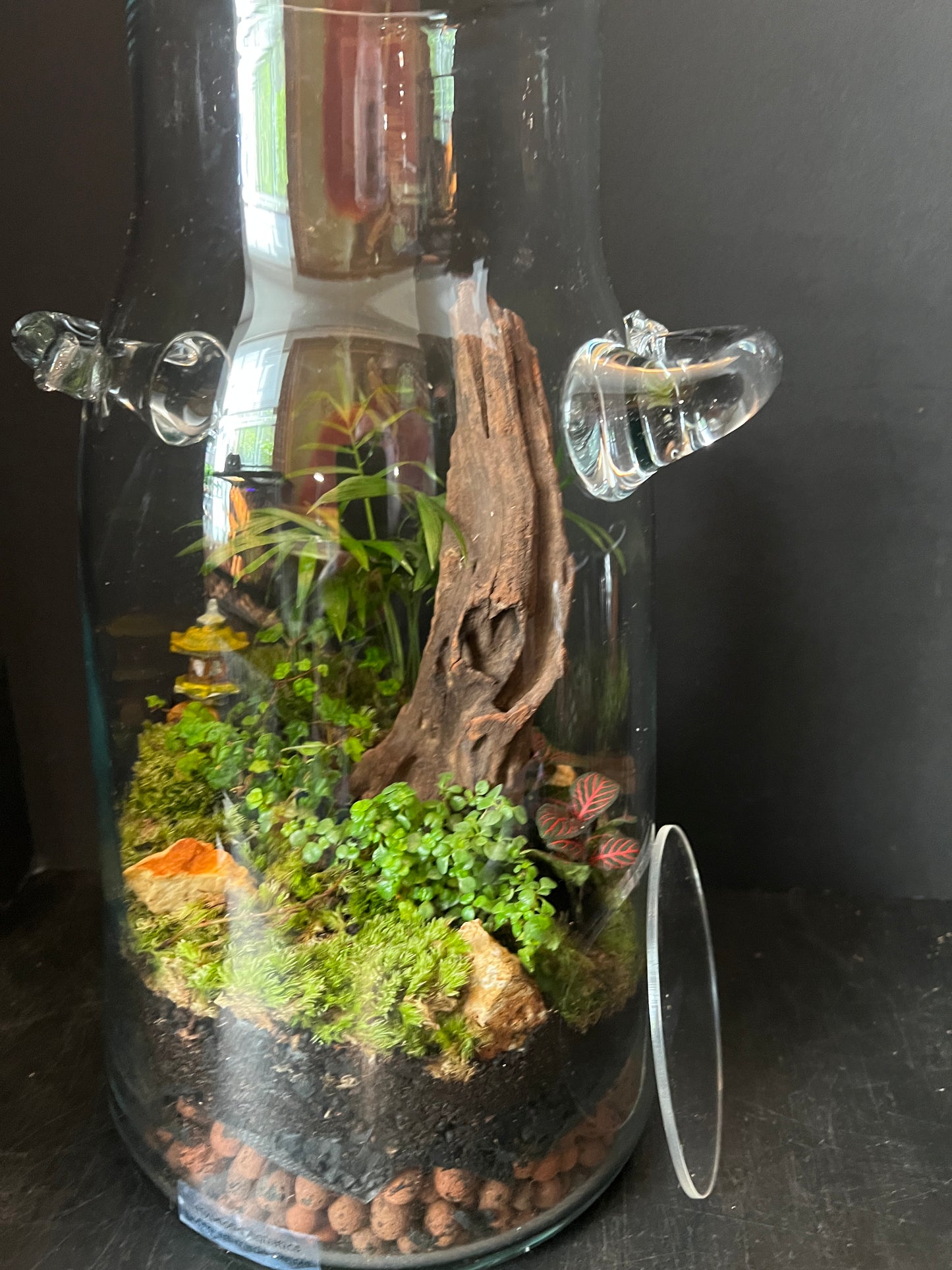 Terrarium 876