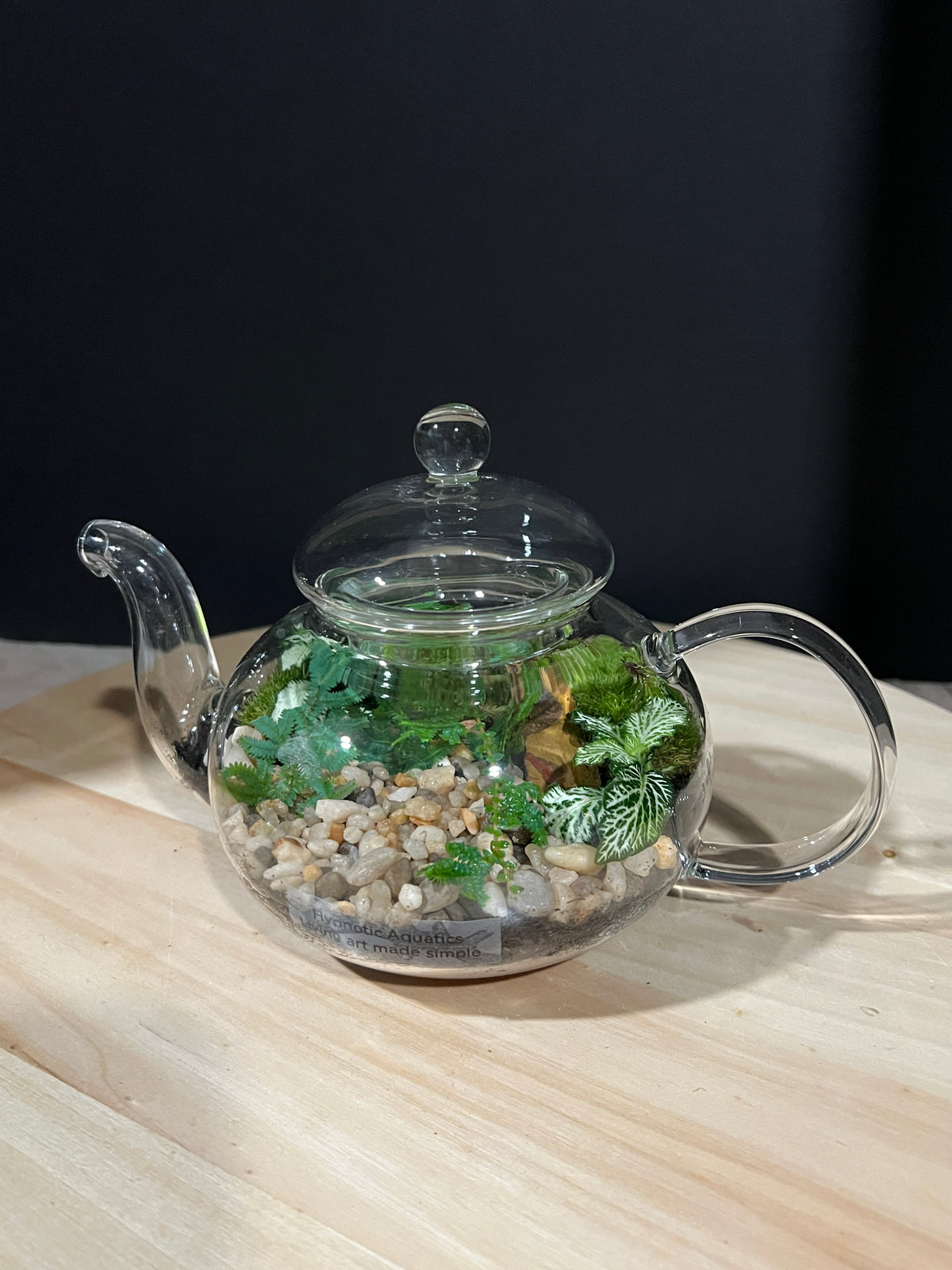 Terrarium 967