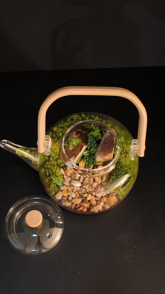 Terrarium #40