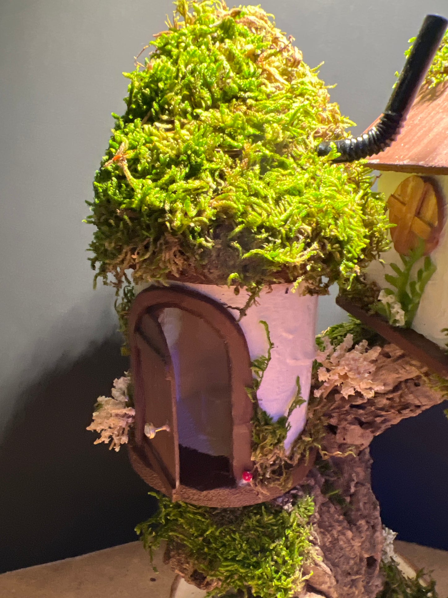 Fairy House (Large Condo)