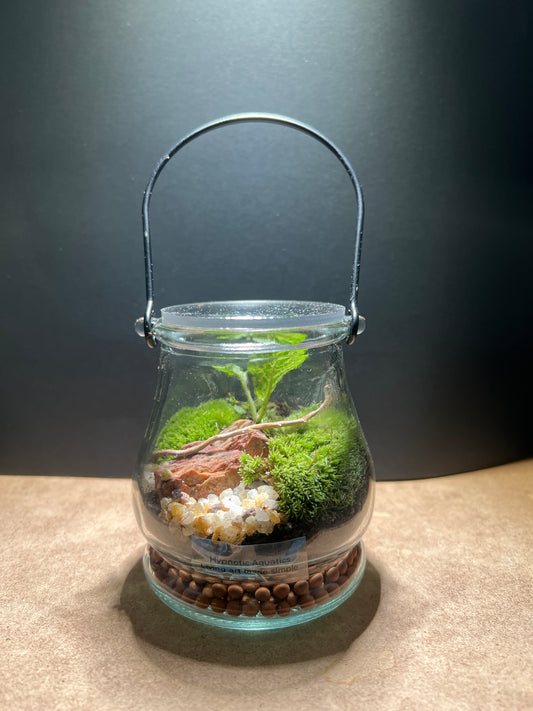 Terrarium 412