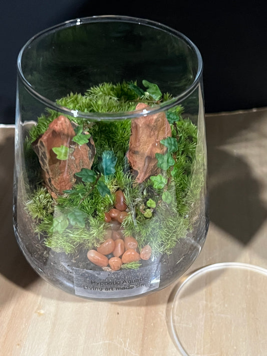 Terrarium 801