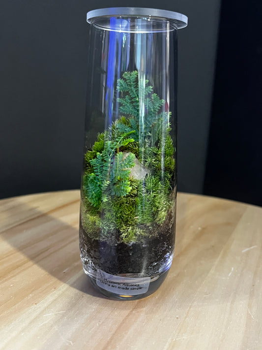 Terrarium 831