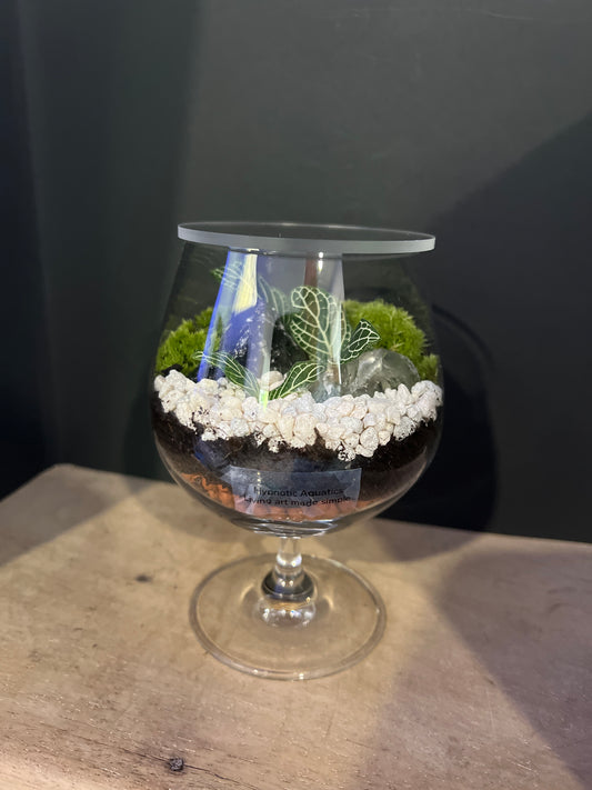 Terrarium 480