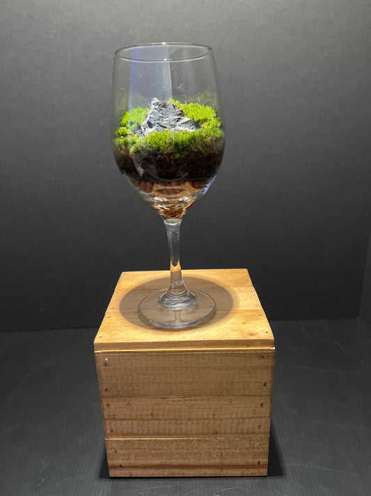 Terrarium #39