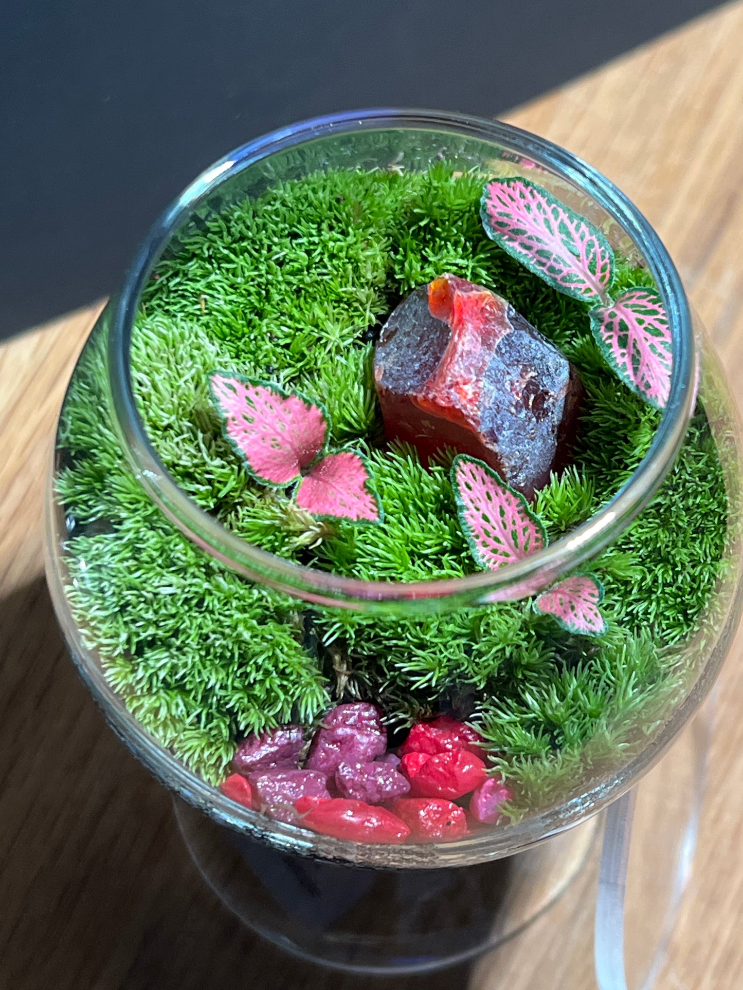 Terrarium 525