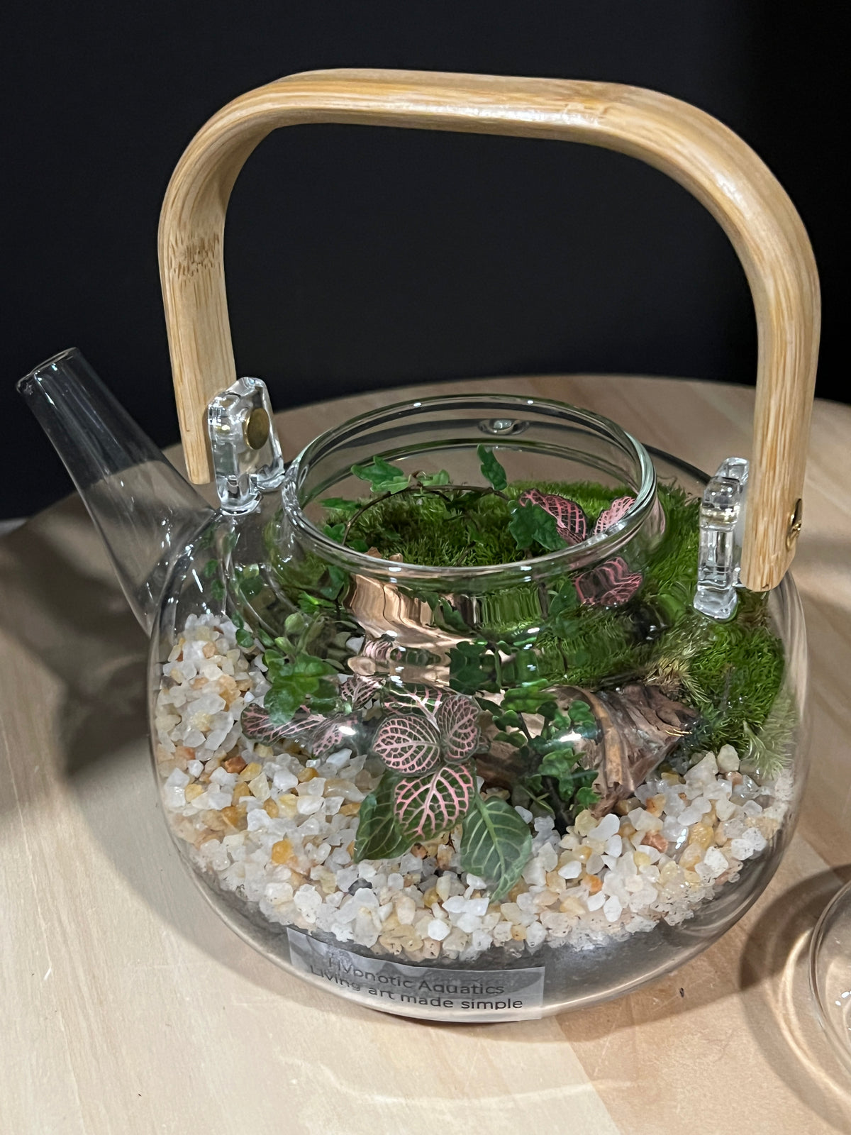 Terrarium 948